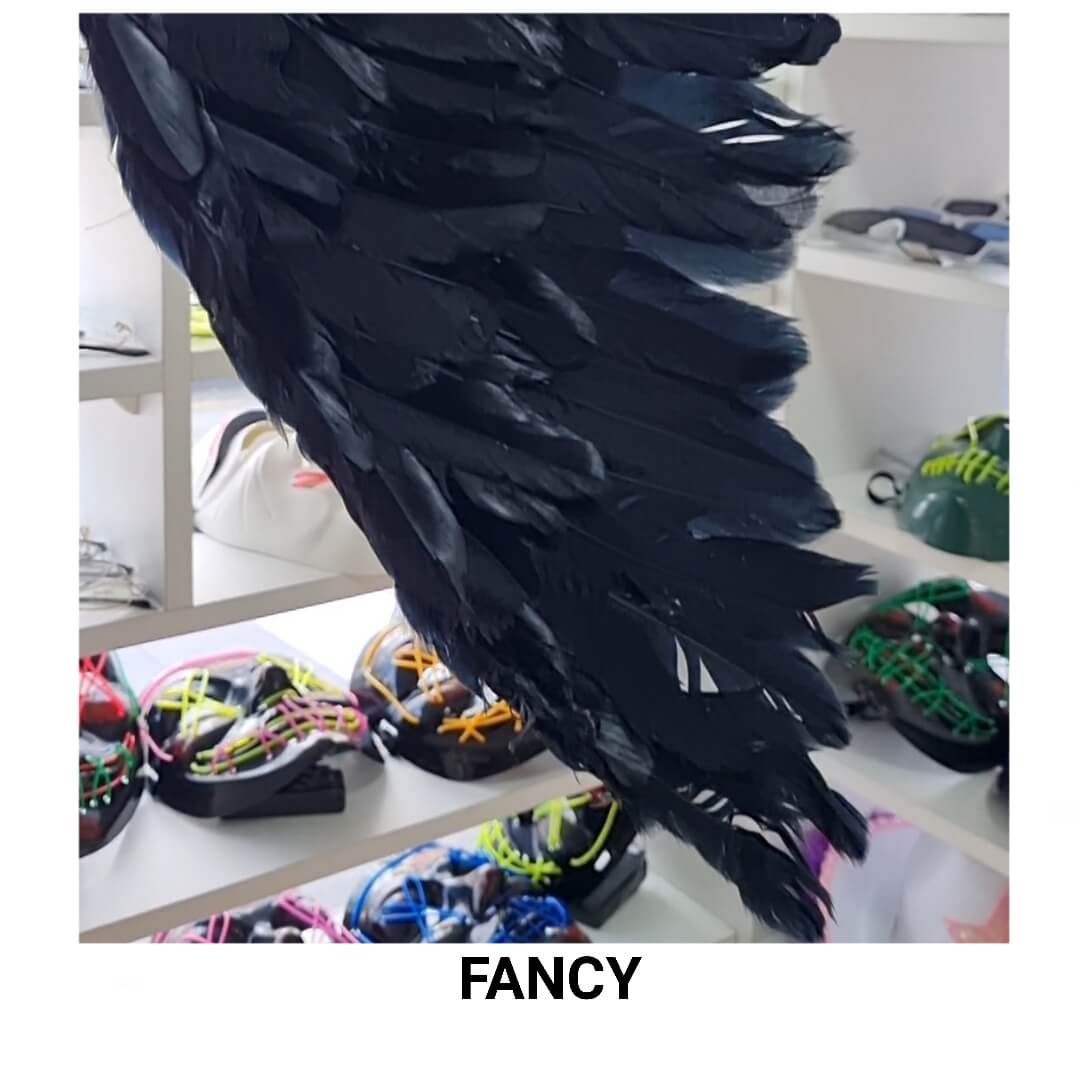 WINGS BLACK LED