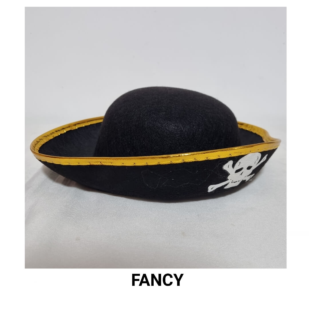 GOLD PIRATE HAT