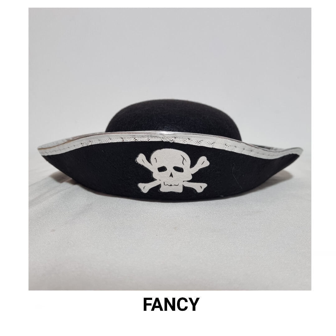 SILVER PIRATE HAT